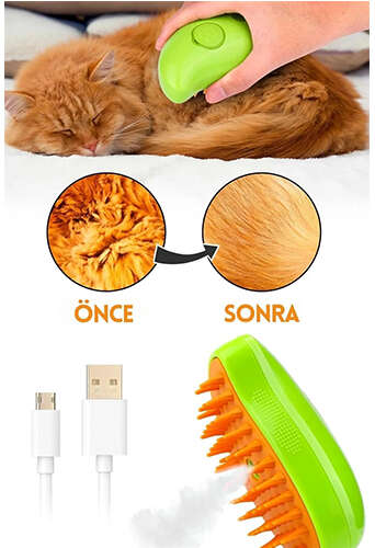 Buharlı Kedi Tarağı