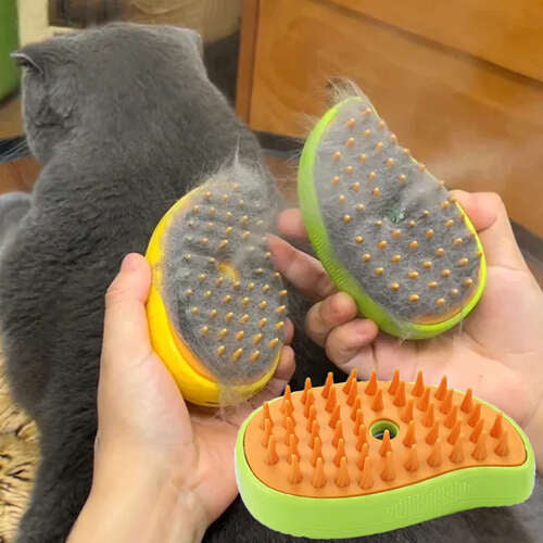 Buharlı Kedi Tarağı